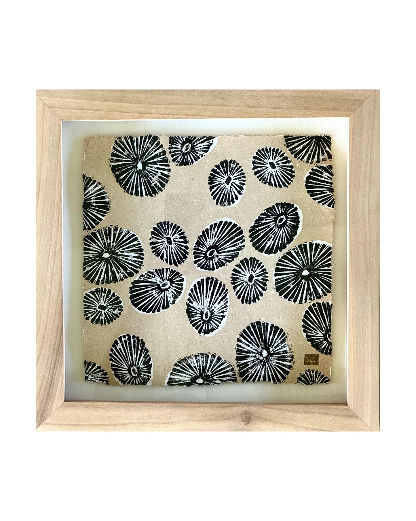 Opihi Baby (a) - Float Mounted