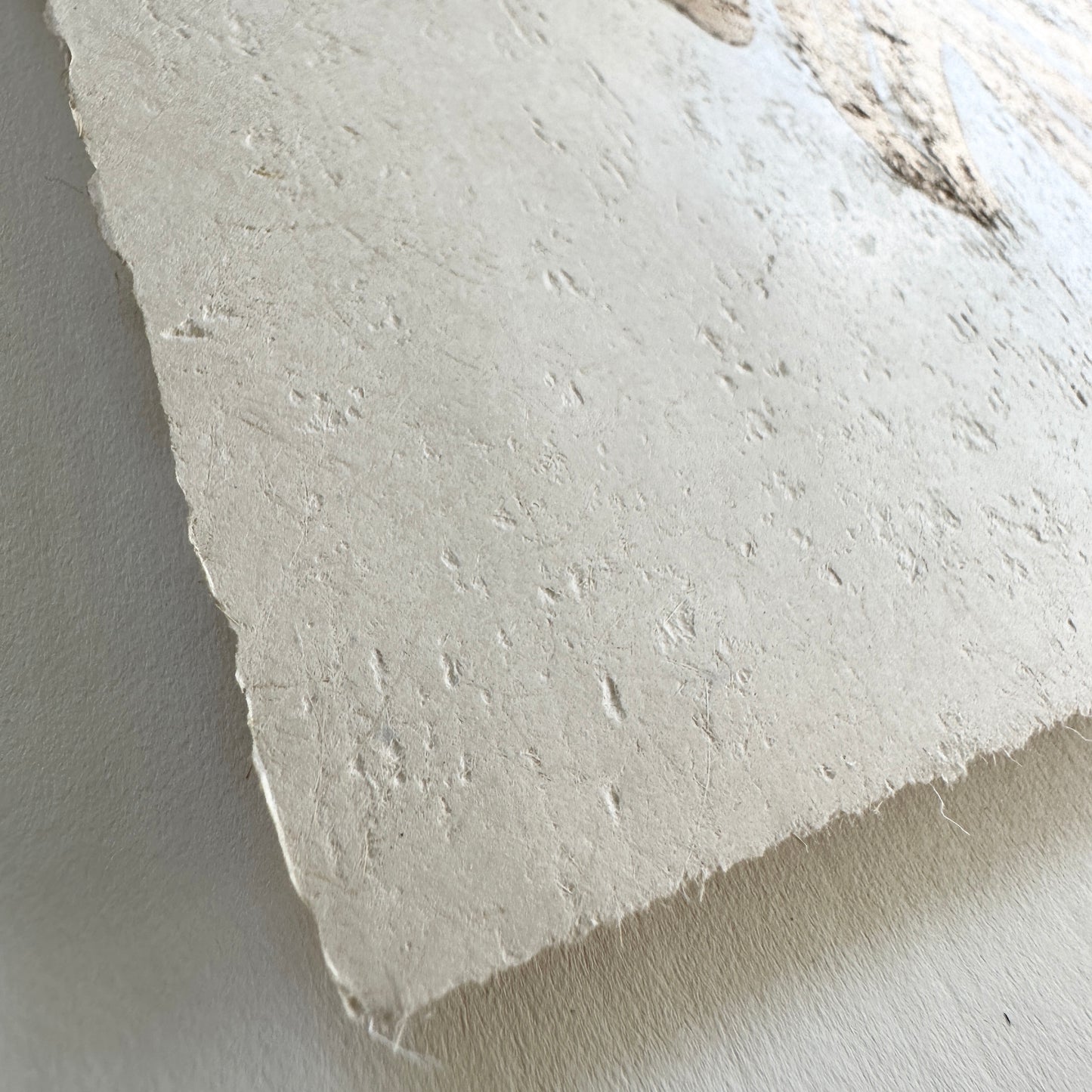 Golden Monstera (Gold on Cream)