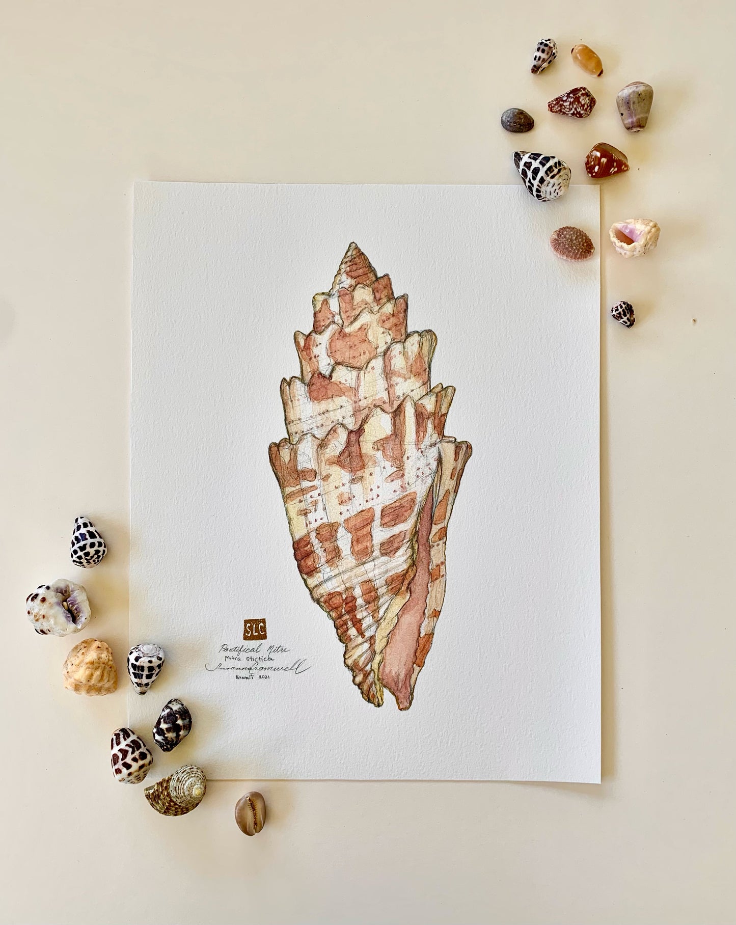 Pontifical Mitre • Giclée of Original Graphite Drawing