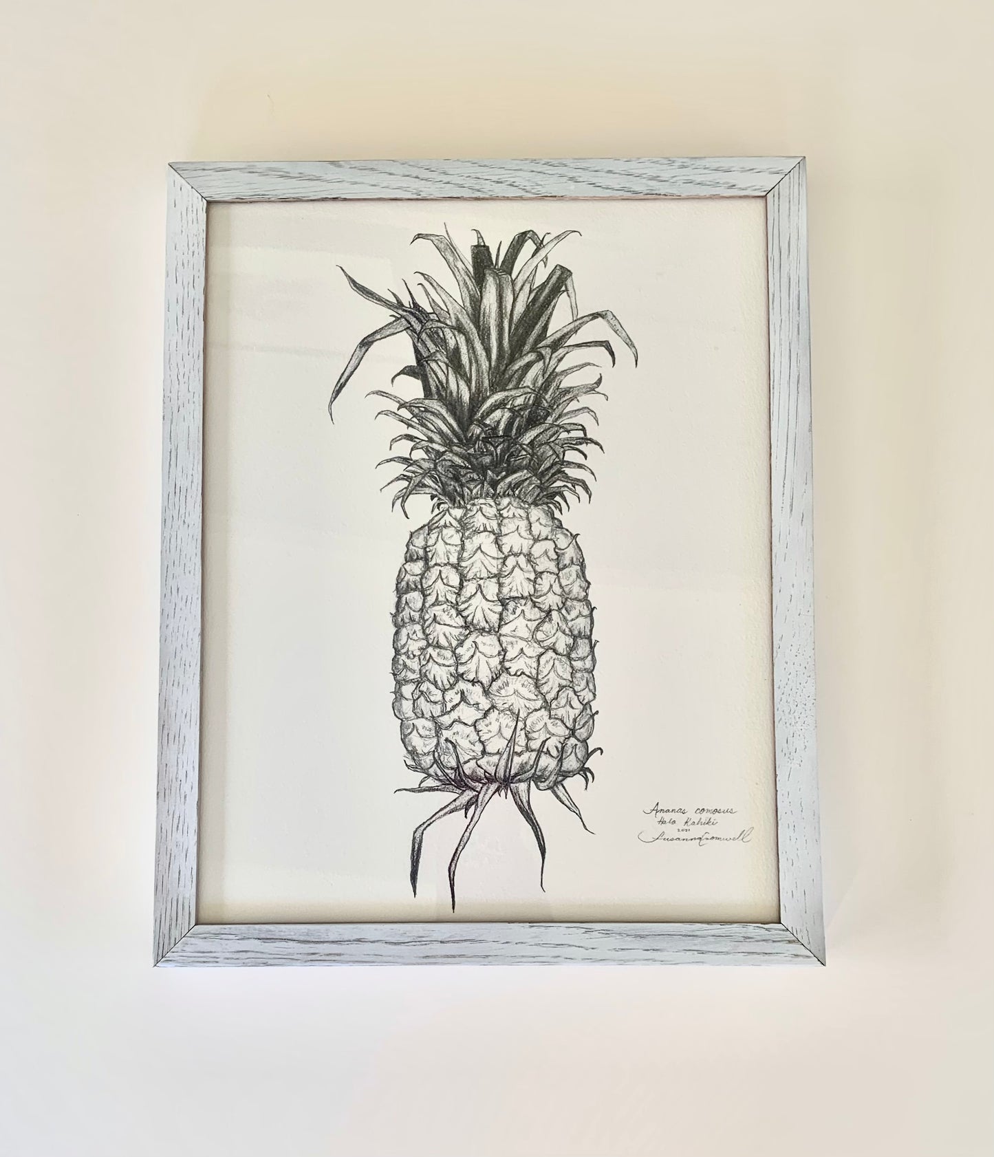 Hala Kahiki • Giclée of Original Graphite Drawing