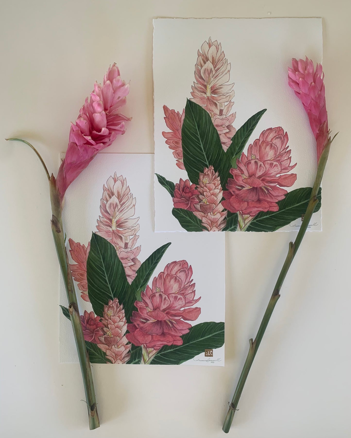 Roadside Ginger • Giclée of Original Watercolor