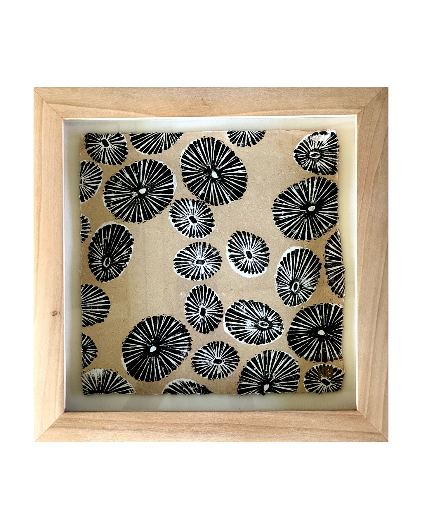 Opihi Baby (b) - Float Mounted