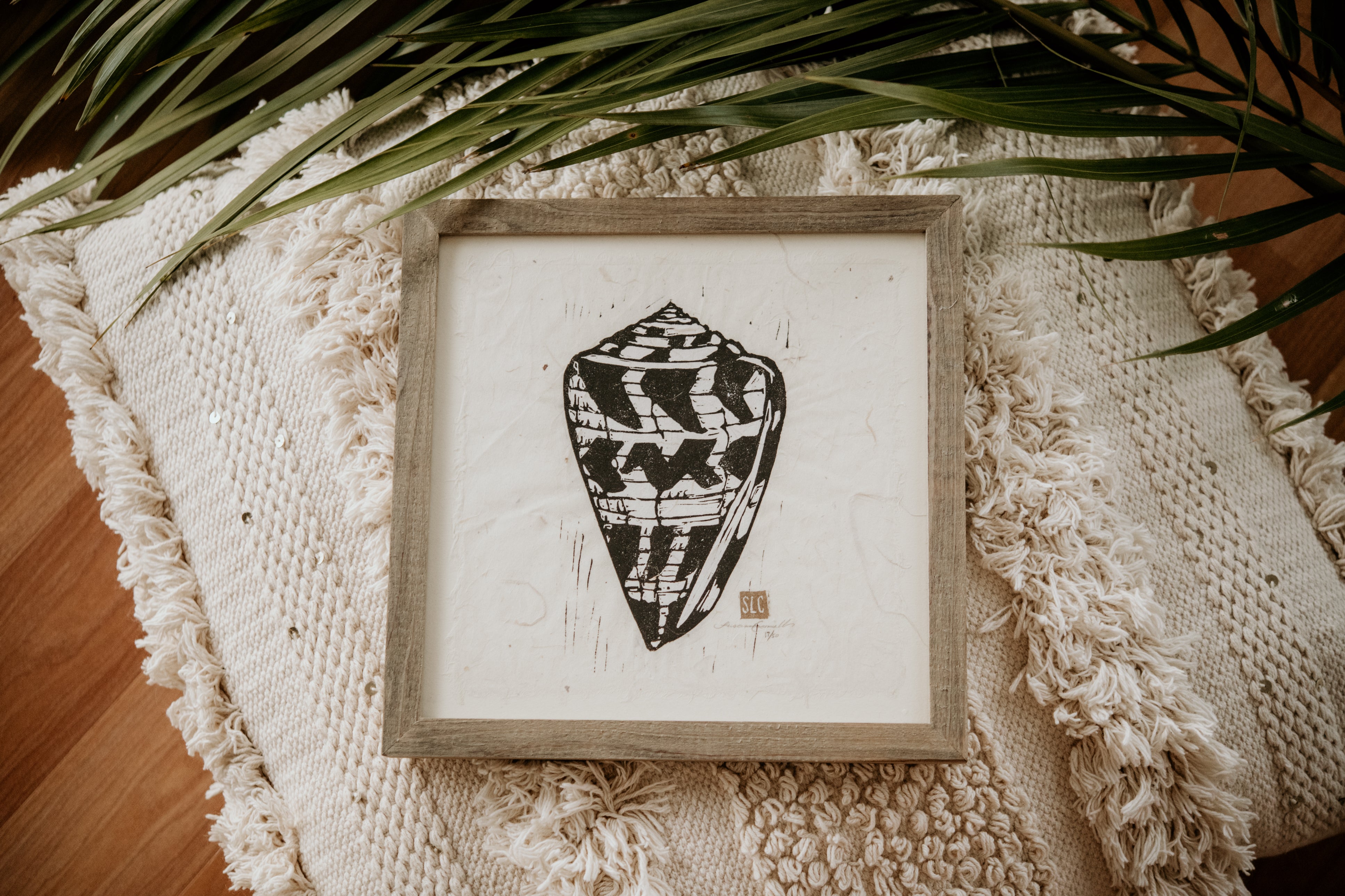 Hebrew Cone Shell – Cromwell Home