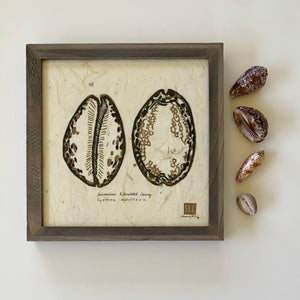 COWRY 9x9