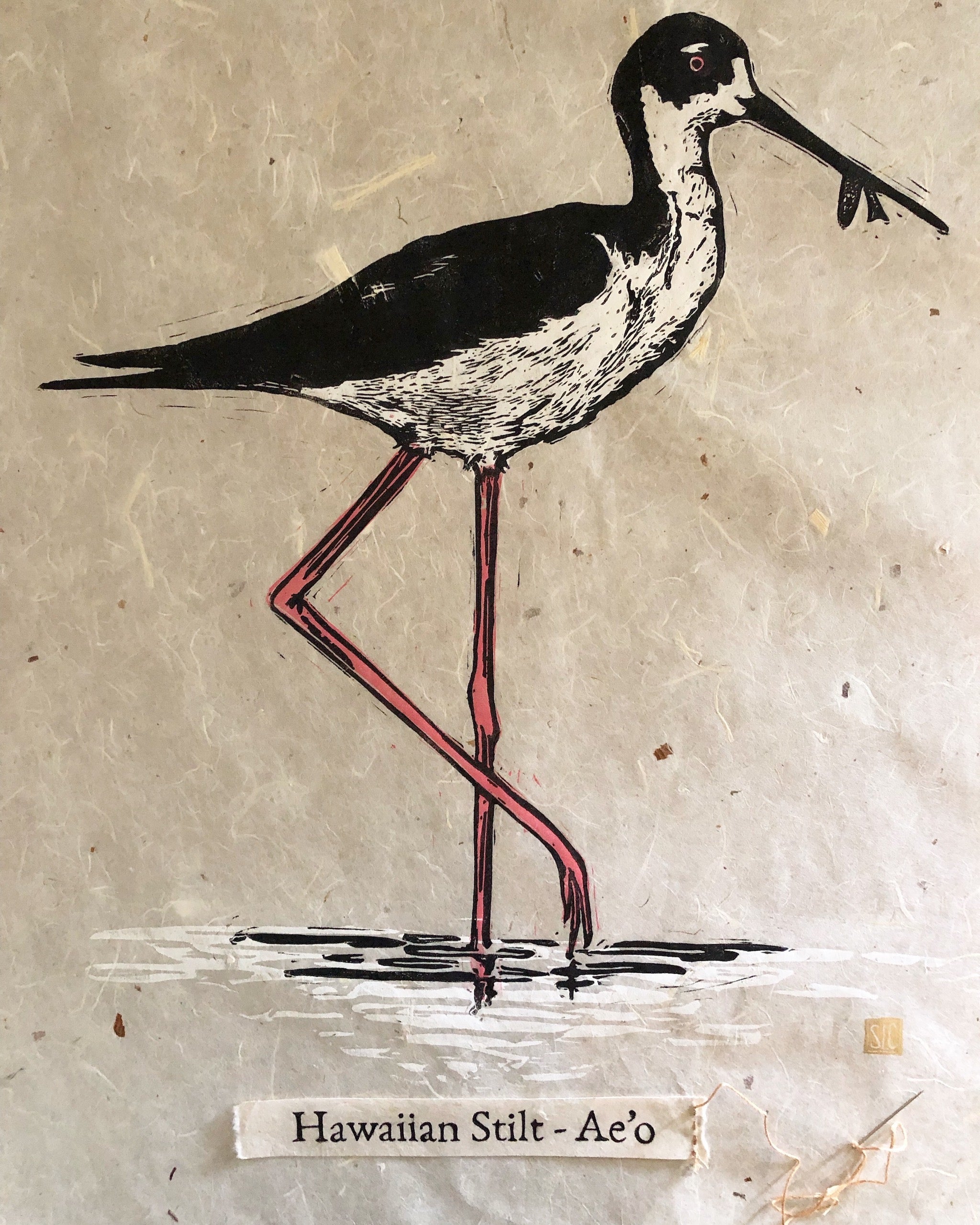 Hawaiian Stilt - Ae'o (Printed upon order until limited number is reached)