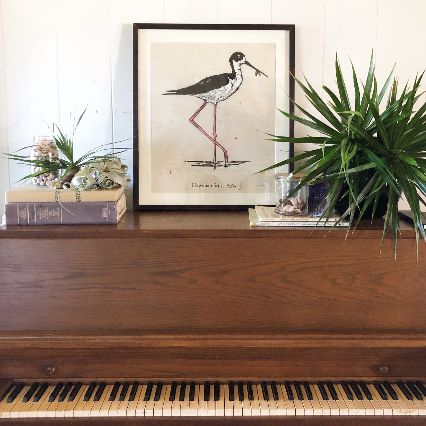 Hawaiian Stilt - Ae'o (Printed upon order until limited number is reached)