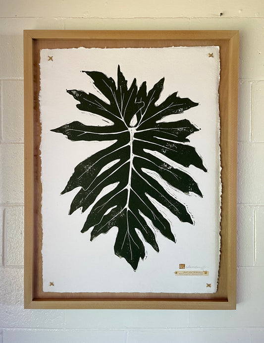 Split-Leaf Philodendron