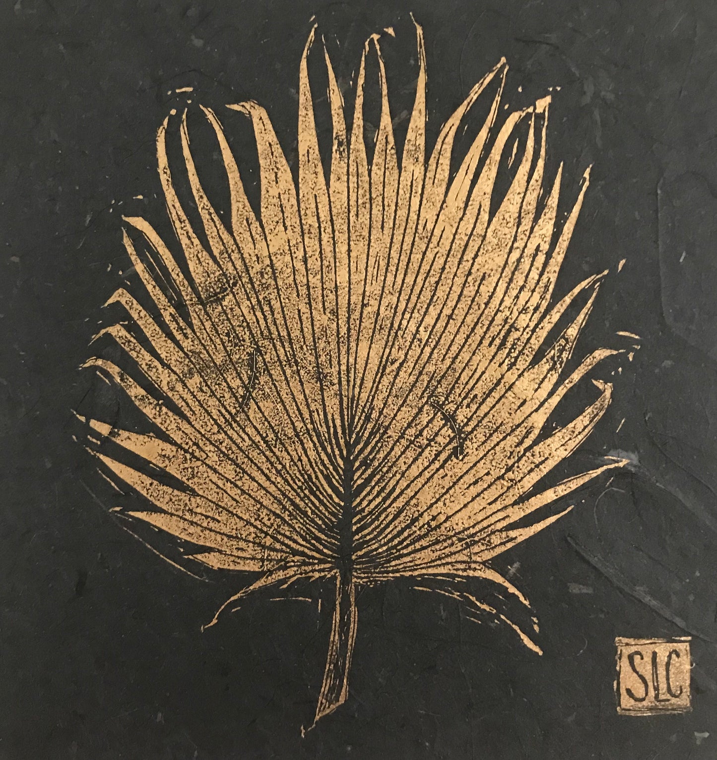 Loulu Palm Frond in Shadow Box