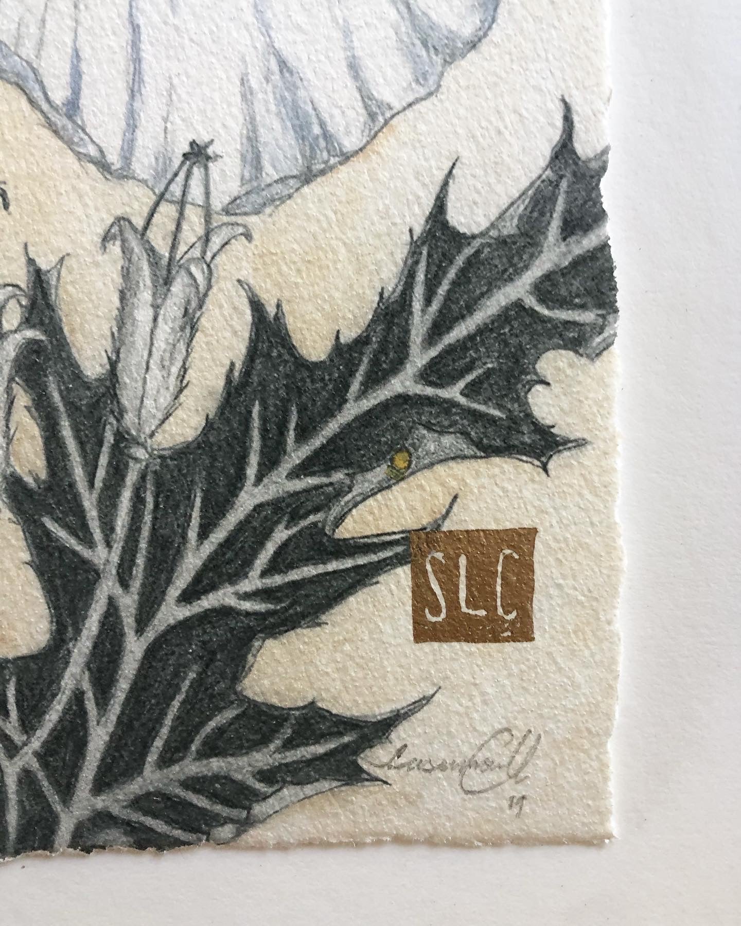 Pua Kala • Giclée of Original Watercolor + Graphite