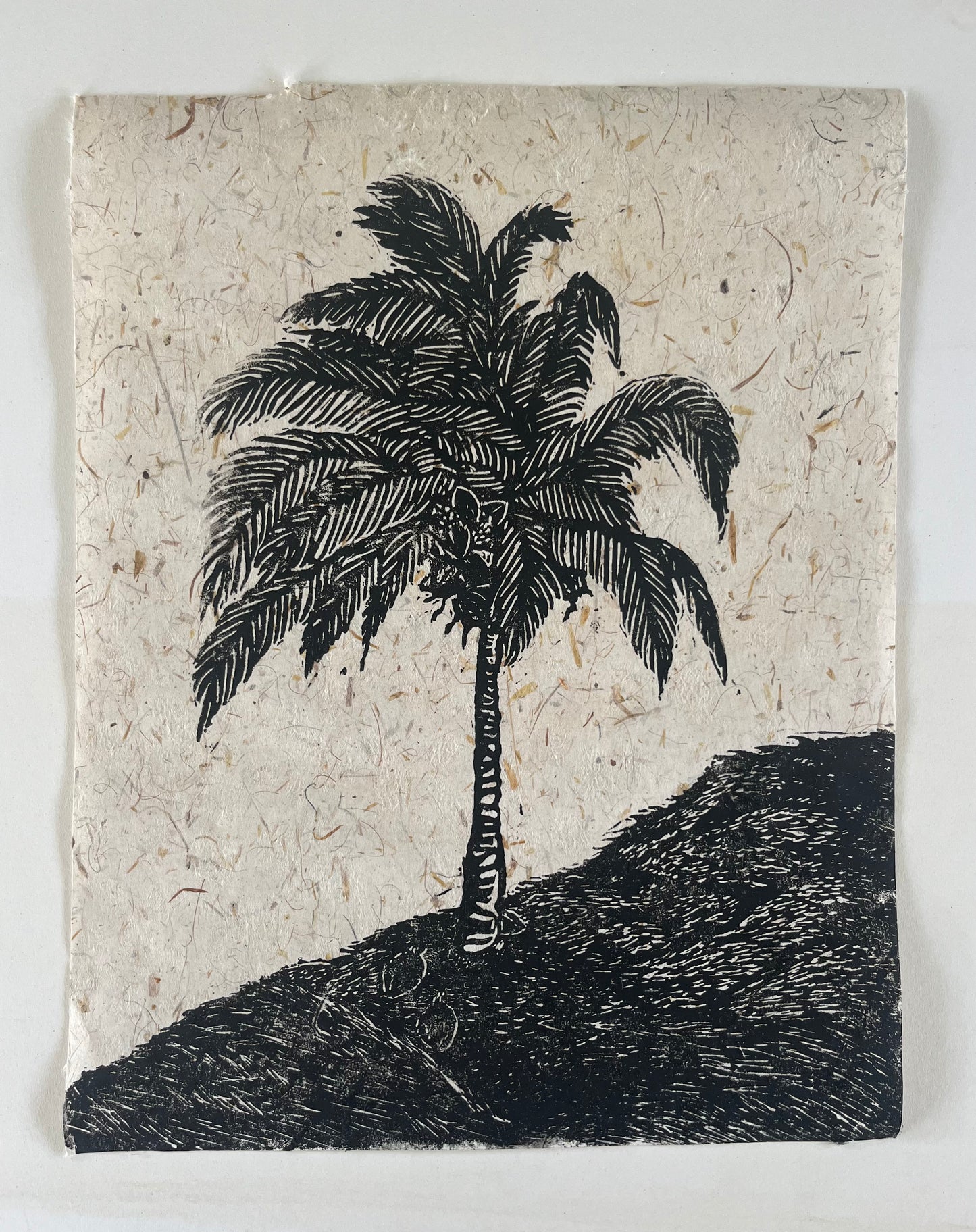 Coco on the Cliff · Memories of Kipahulu